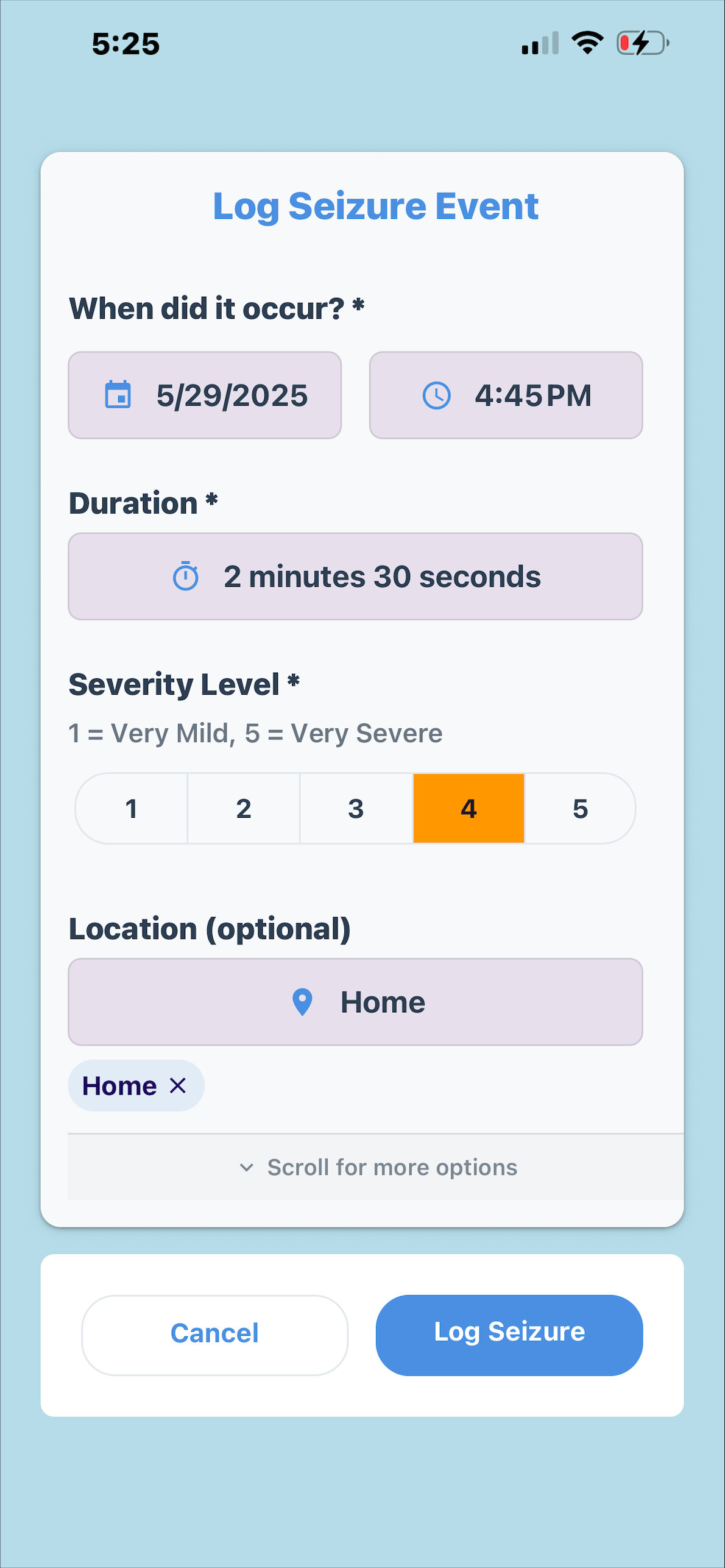 Seizure Logging